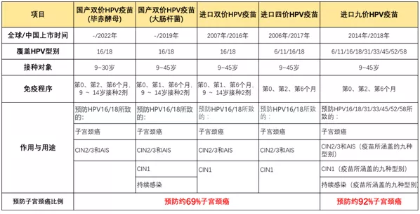 2025新澳最精准资料大全，全面释义、解释与落实