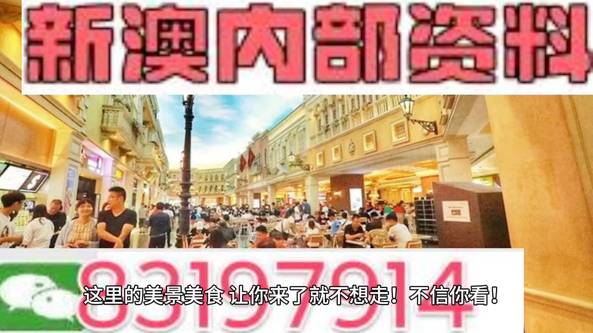 新澳门资料全年免费精准，全方位释义与落实策略