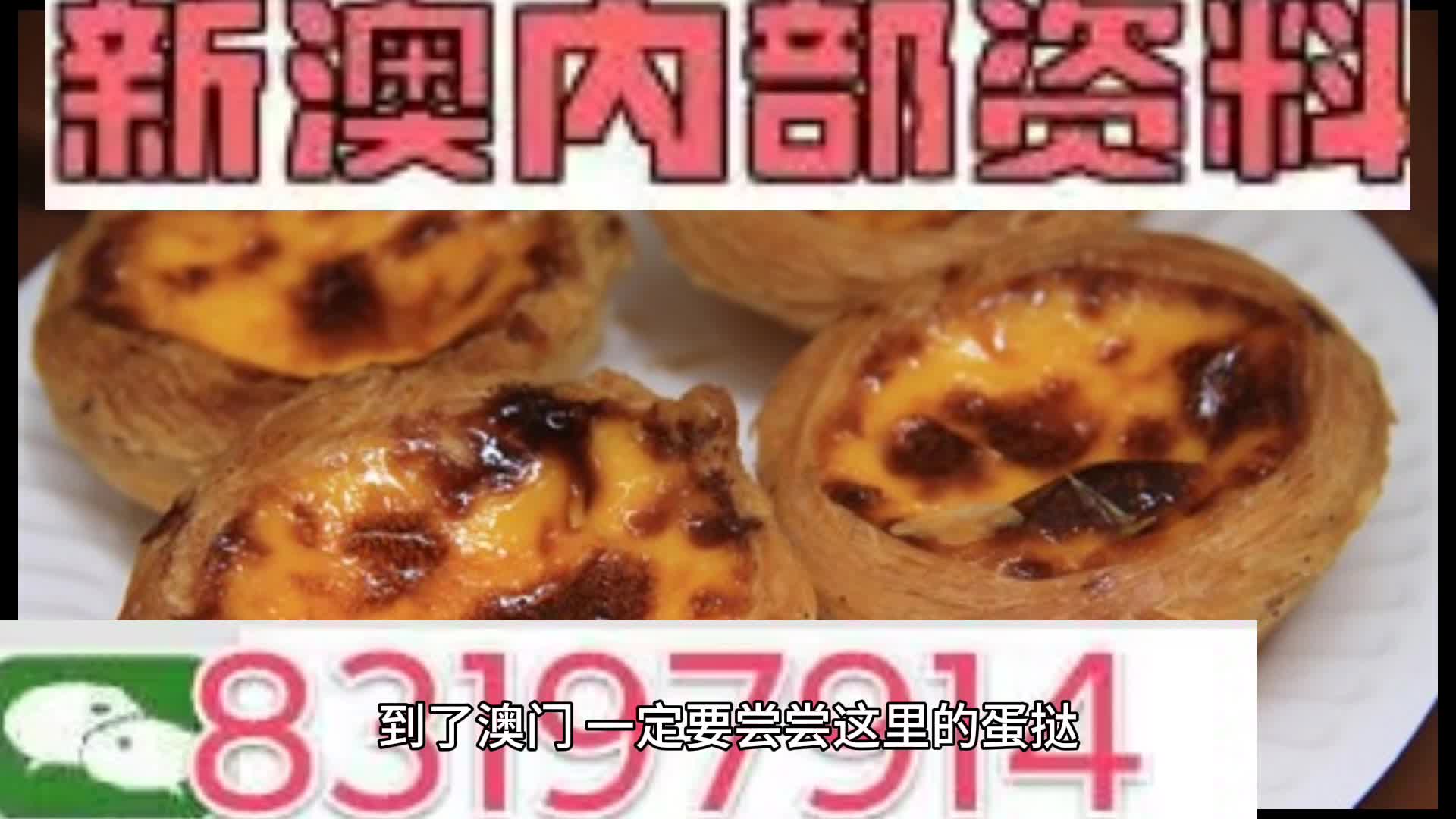 2025澳门精准正版资料大全，全面释义与解释