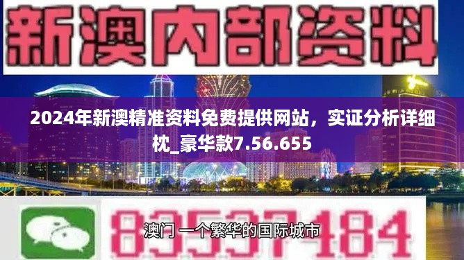 新澳正版资料免费提供，全面释义、解释与落实展望